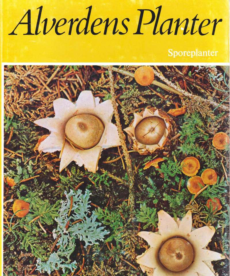 Alverdens Planter - Sporeplanter 3 bind