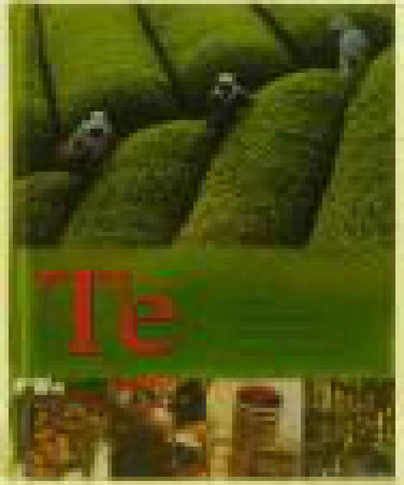 Te