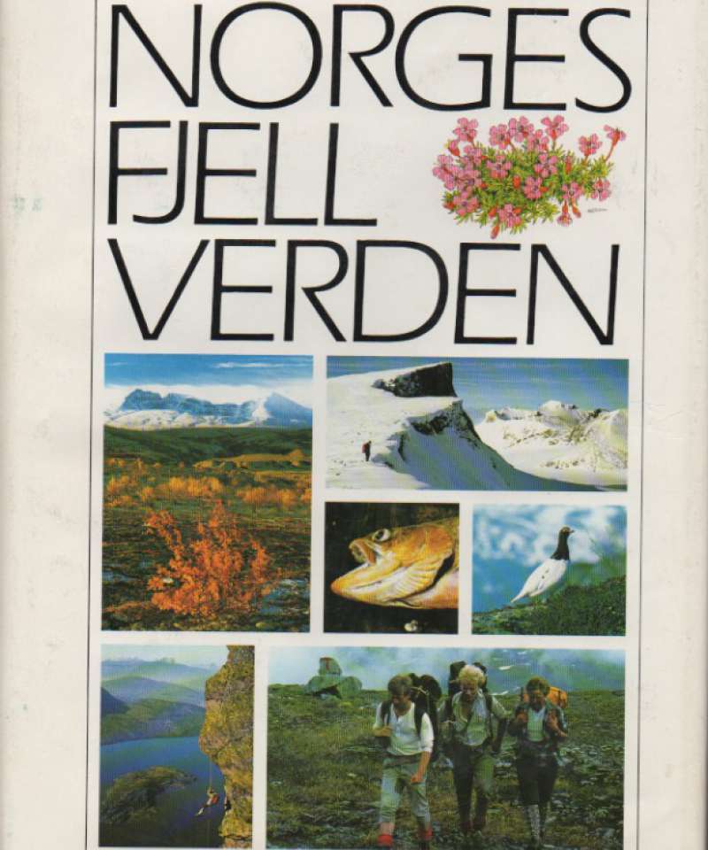 Norges fjellverden 