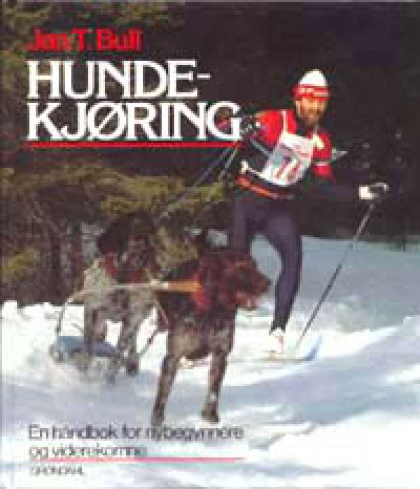 Hundekjøring