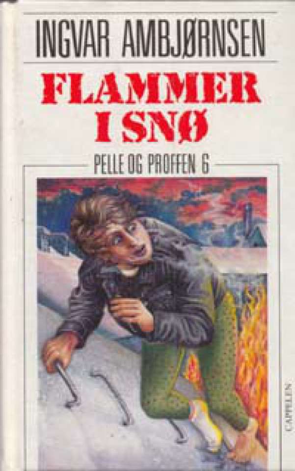 Flammer i snø - Pelle og Proffen 6