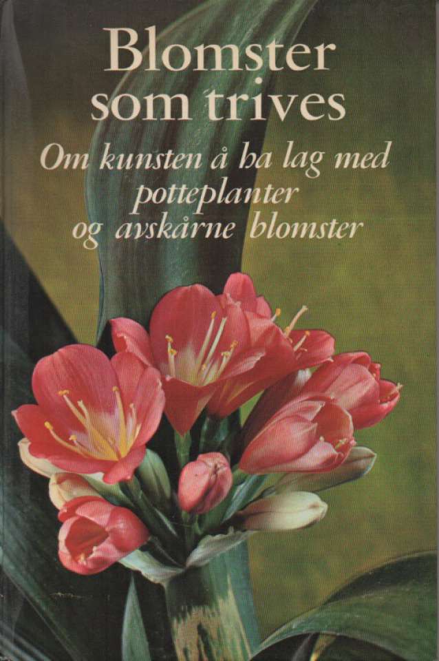 Blomster som trives