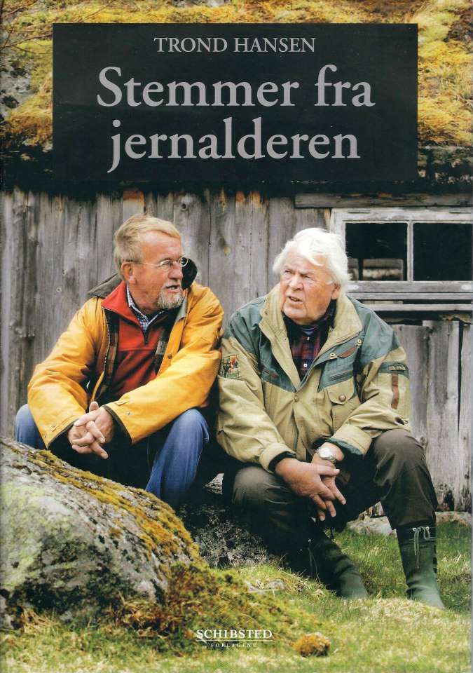 Stemmer fra jernalderen