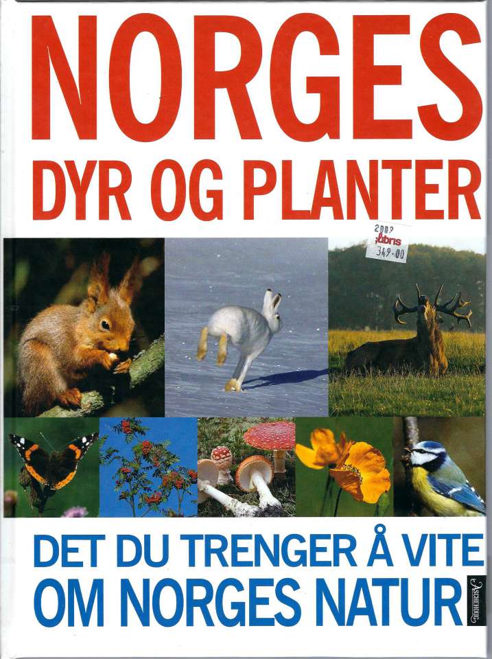 Norges dyr og planter - Det du trenger å vite om norges natur
