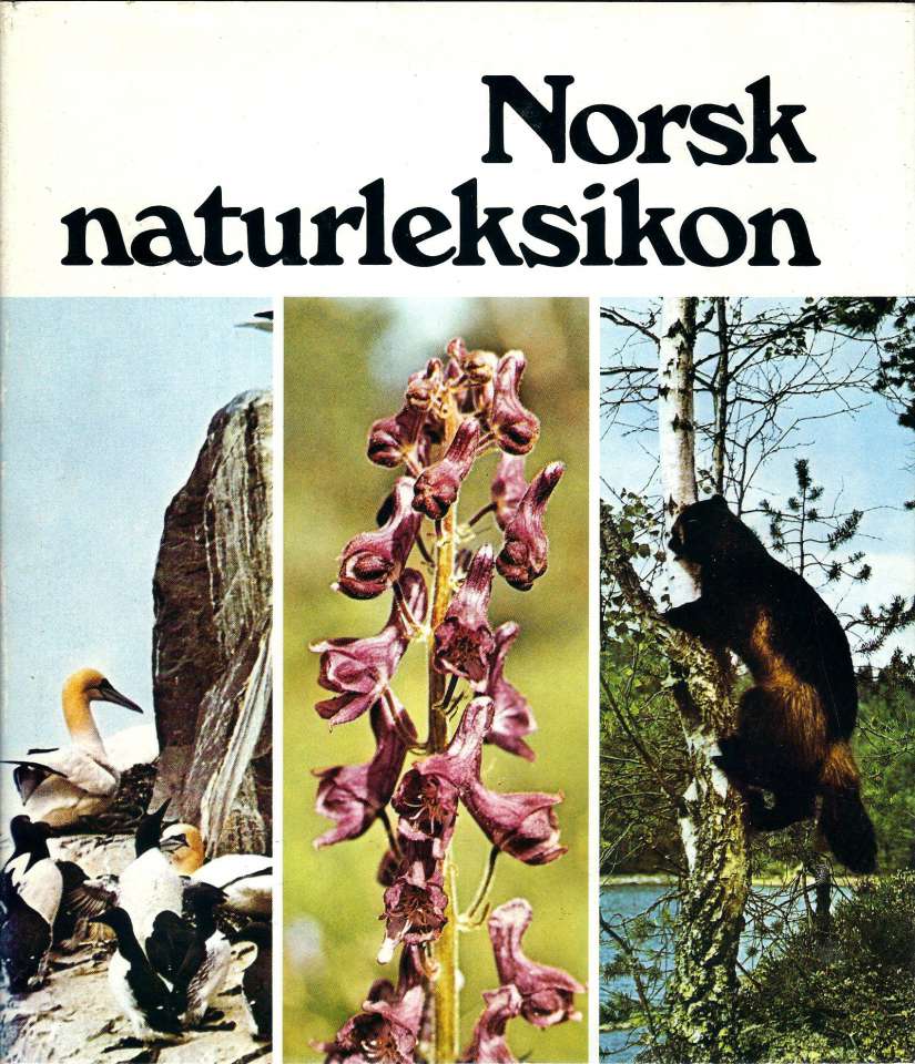 Norsk naturleksikon