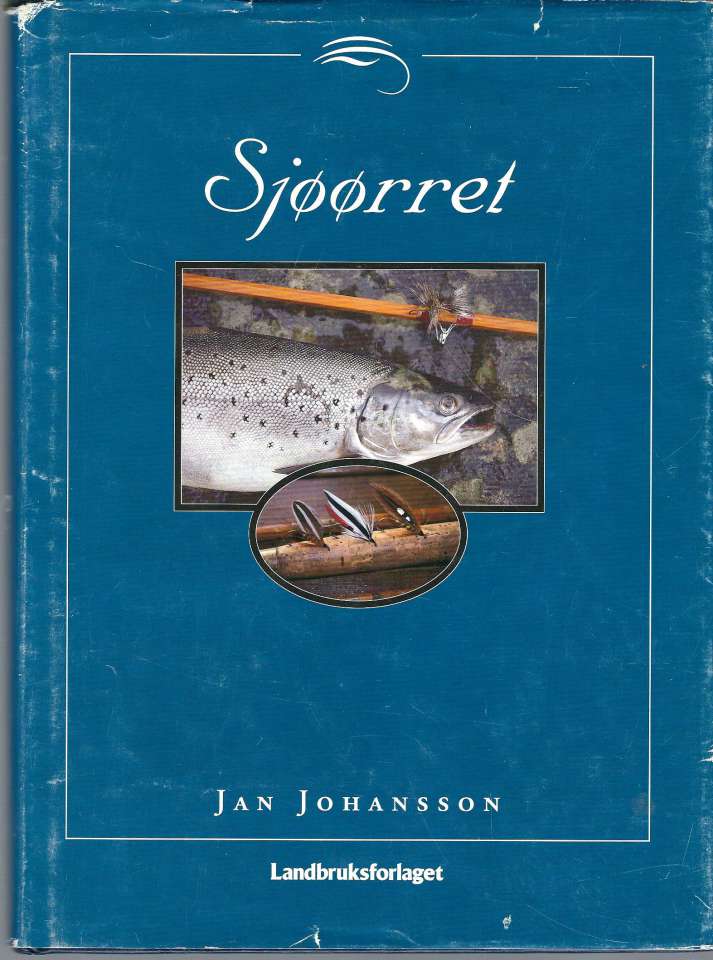 Sjøørret