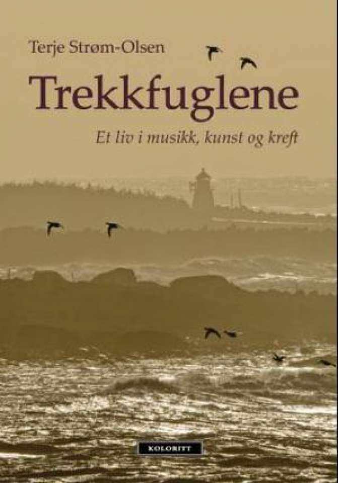 Trekkfuglene Et liv i musikk, kunst og kreft