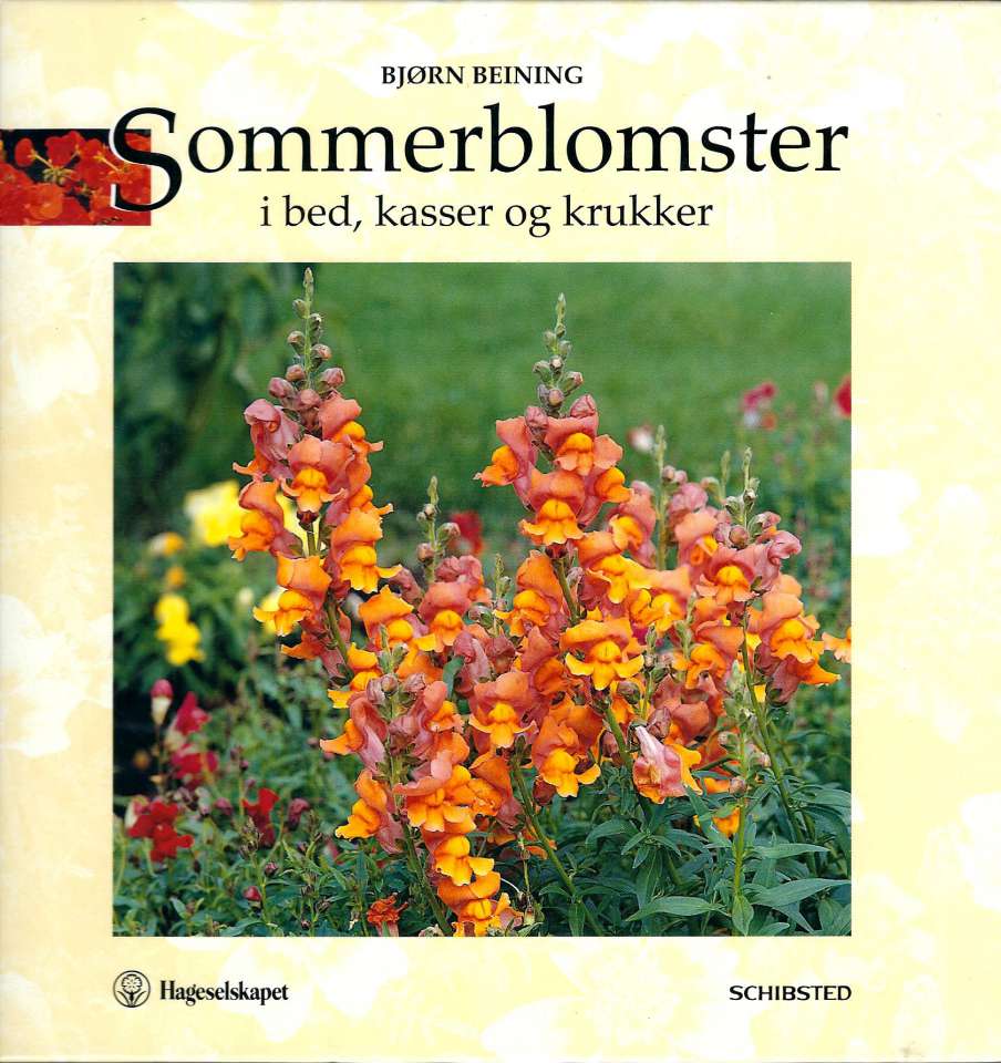 Sommerblomster i bed, kasser og krukker