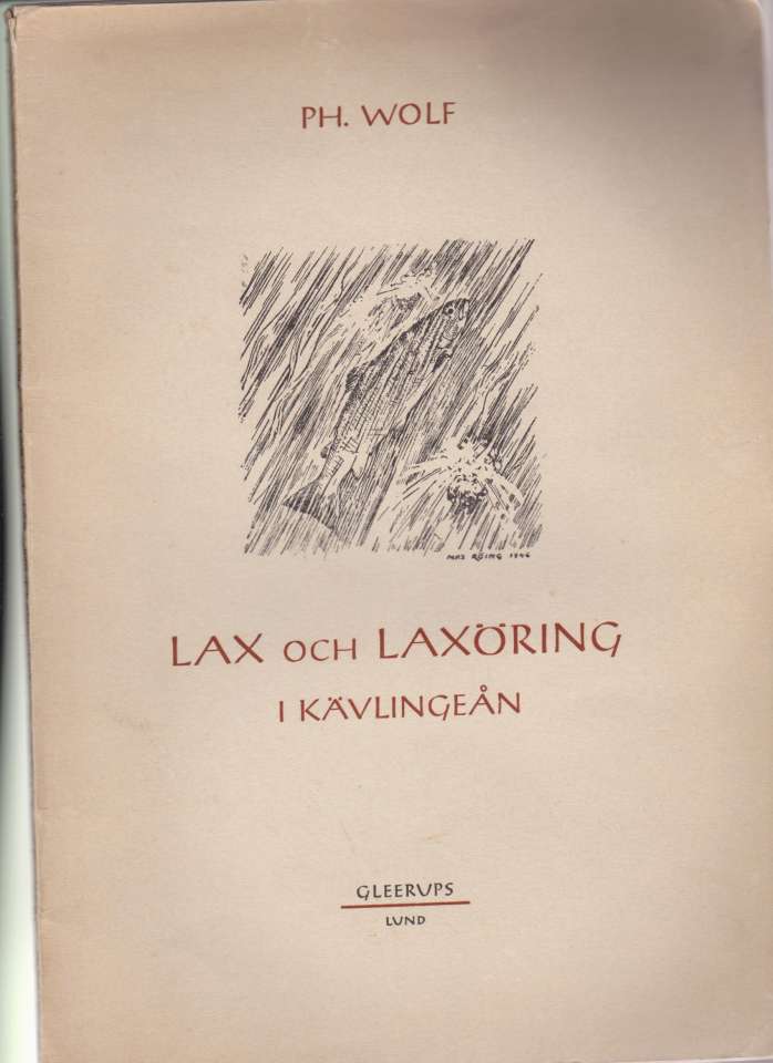 Lax och Laxöring i Kävlingeån