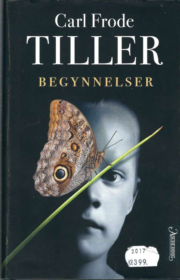 Begynnelser