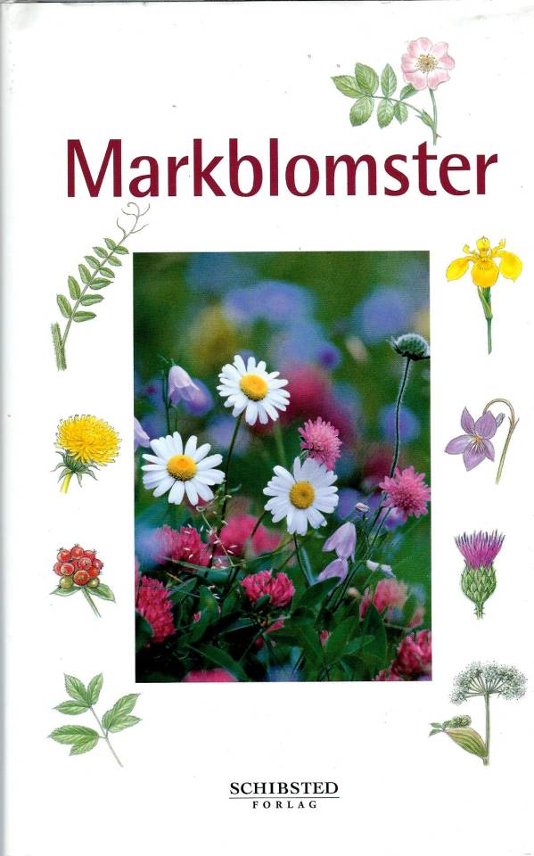 Markblomster