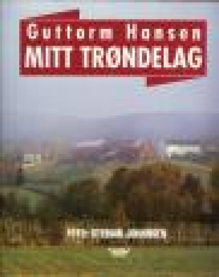 Mitt Trøndelag