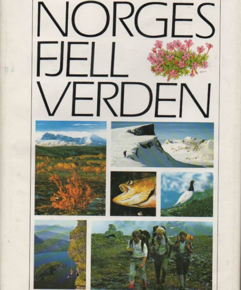 Norges fjellverden